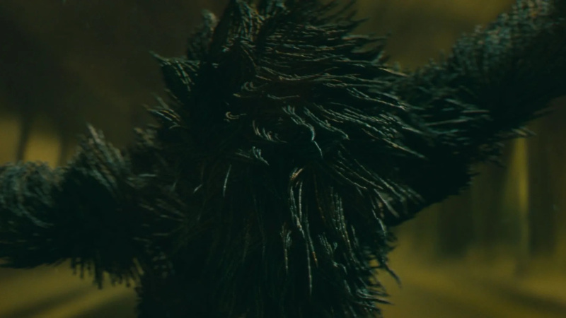 1 captive state