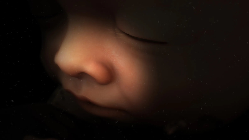 1 fight for life