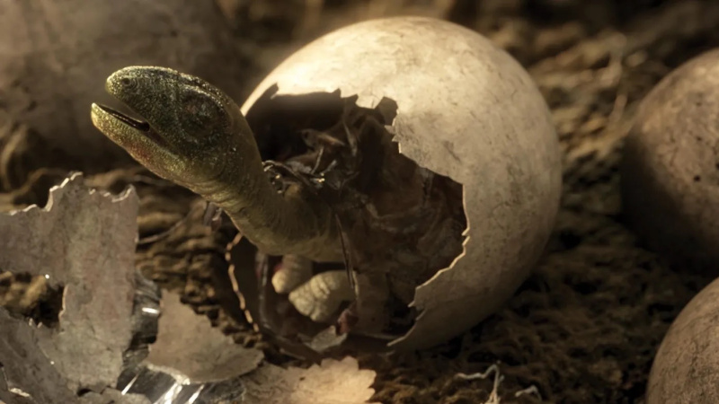 4 planet dinosaur