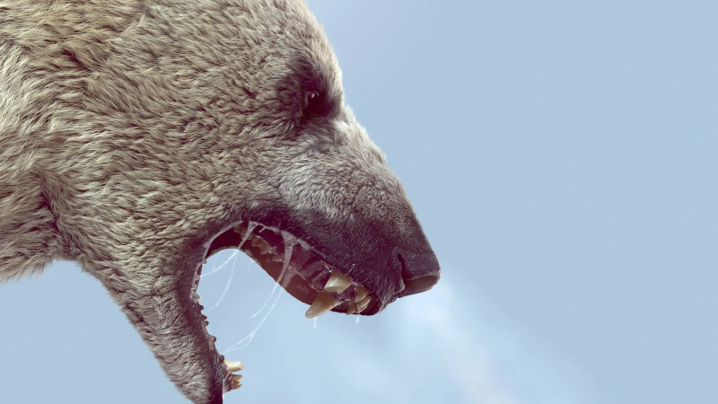 1 polar bear