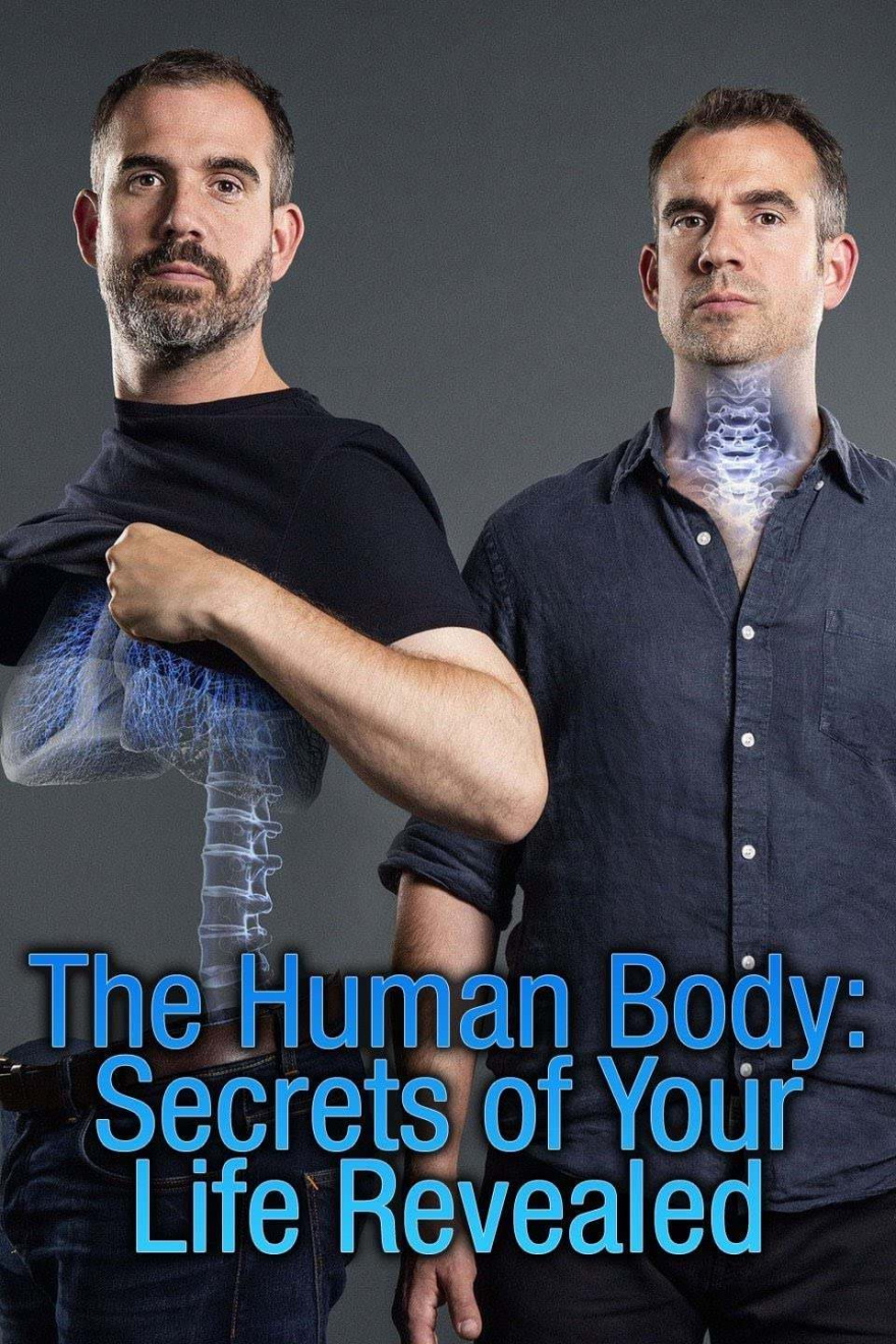 The human body secrets of your life revealed