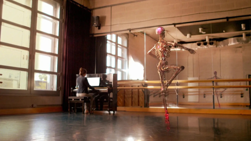 4 the human body