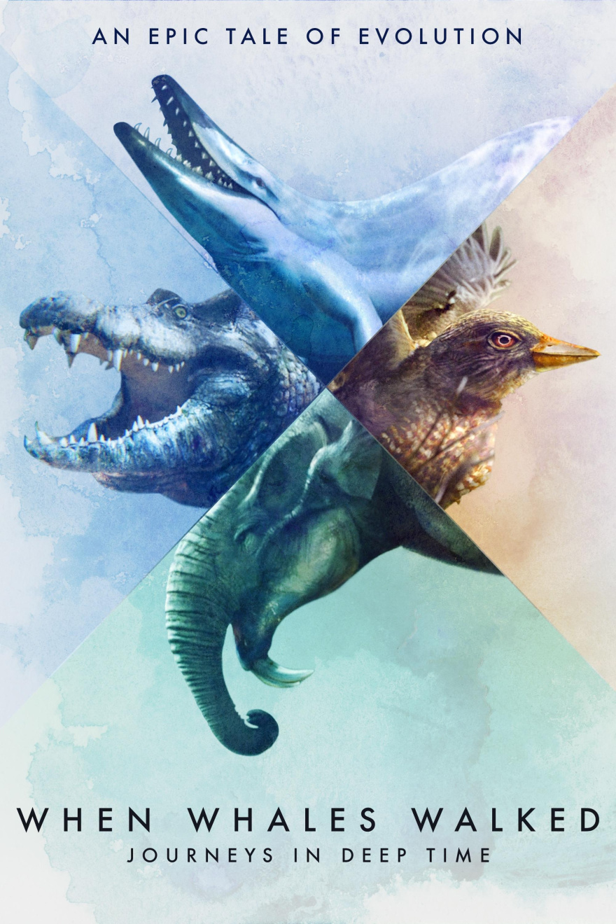 When whales walked 1