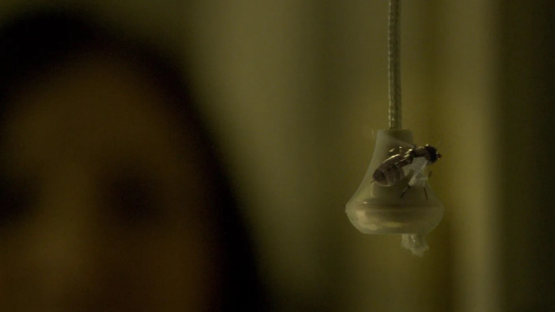 5 blackmirror hated in the nation