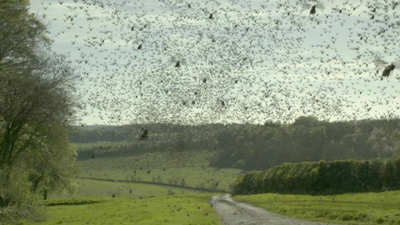 8 blackmirror hated in the nation