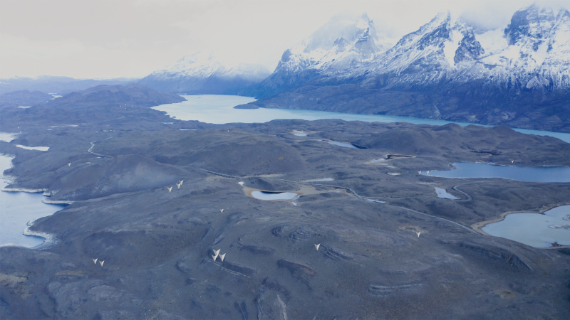 Predators 0000s 0001 Predators 014