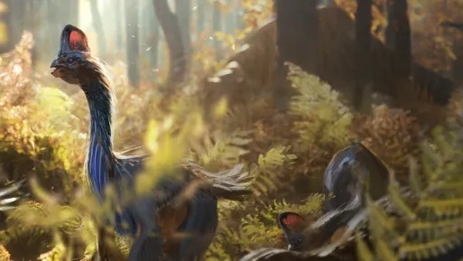 3 prehistroic planet