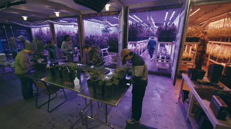 GEN 102 69 A 010 CMP Comp v005