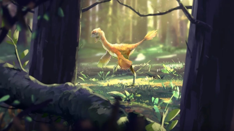 3 when whales walked