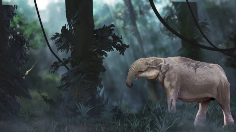 4 when whales walked