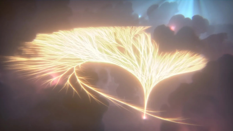 5 when whales walked