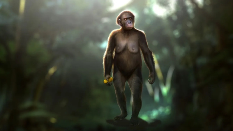 6 when whales walked